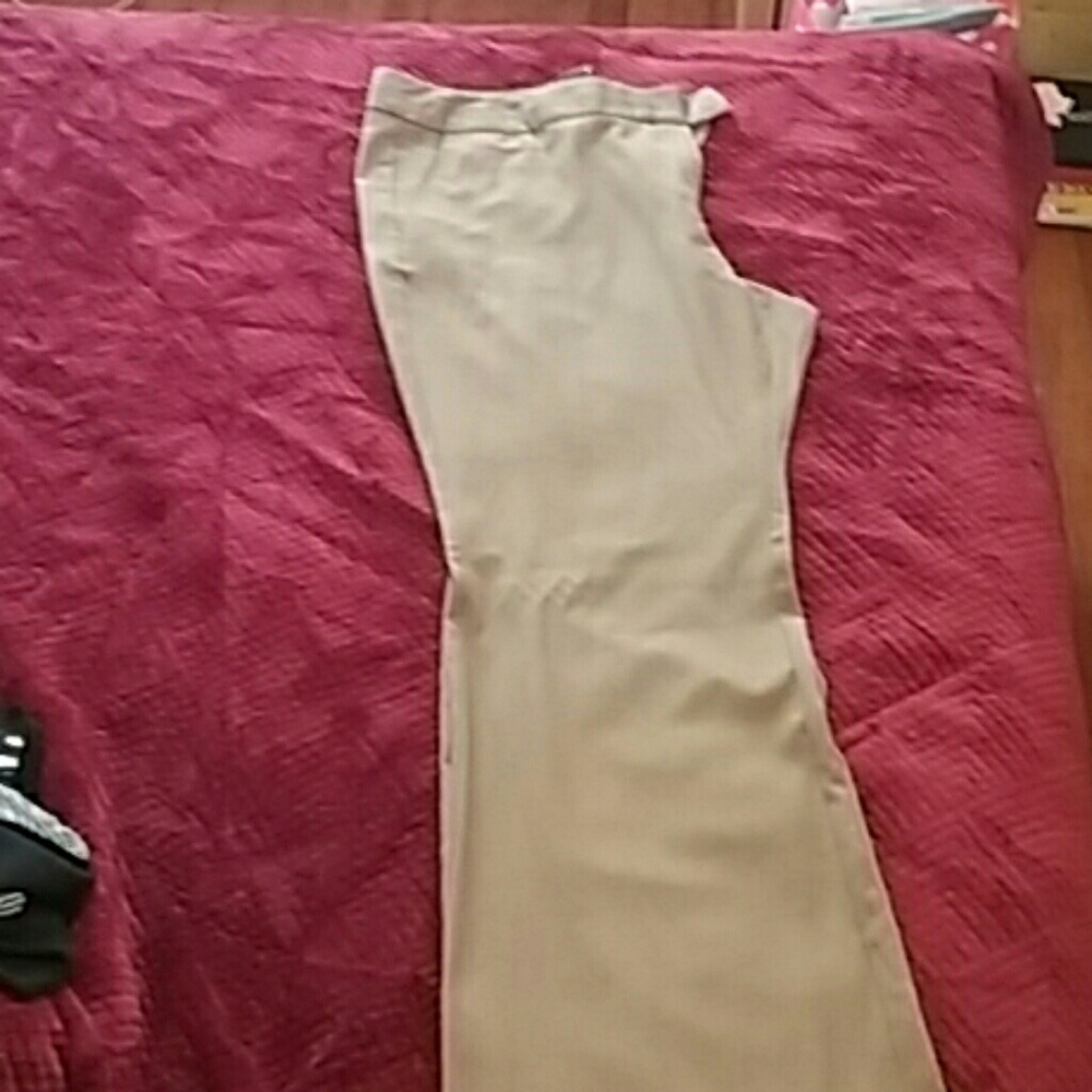 Dress pants